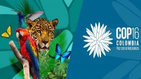 COP16 Colombia