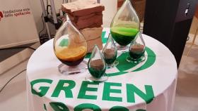 Venezia81: Il Green Drop Award torna alla Mostra nel segno della scienza e dell’ambiente in ricordo di Rachel Carson