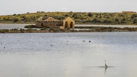 concorso Fotografico 2024 “Vita sopra e sotto il mare” 