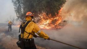 Incendi, Los Angeles