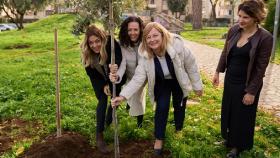 Cresce il progetto ‘3billion trees’: centinaia di nuovi alberi a Ciampino