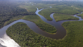 Amazzonia, WWF