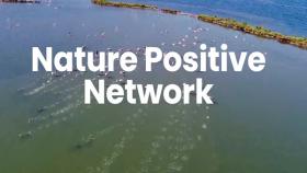 nature positive network