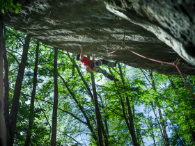 Arrampicata (menzione della giuria)