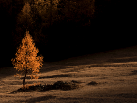 La prima lama di luce che taglia il buio della notte